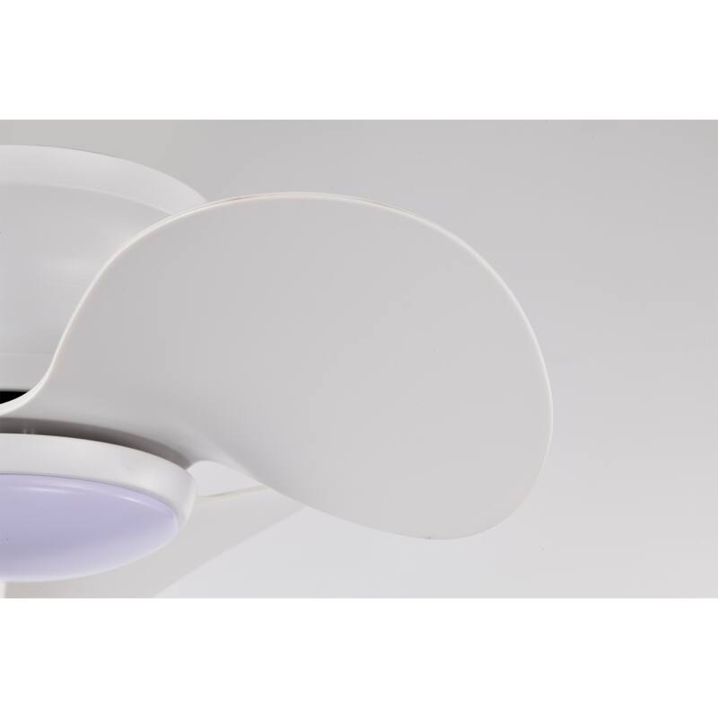 Niamh Modern Lighted Ceiling Fan Flushmounted 3-Blade LED Remote Control