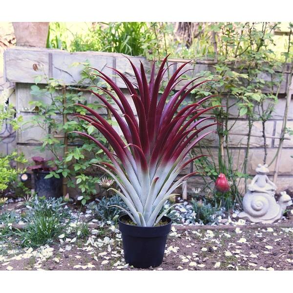 Hyper Realistic Big Red Artificial Aloe Vera Plant 26 Inches Tall. Large  Faux Agave in Matte Black Pot. - N/A - Bed Bath & Beyond - 42544204