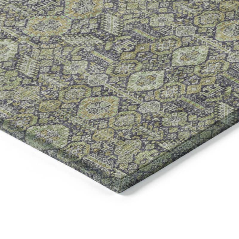 Machine Washable Indoor/ Outdoor Traditional Boho Chantille Rug