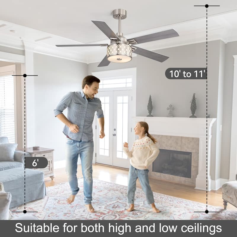 52" Reversible 5-Blade Caged Ceiling Fan with Light and Remote