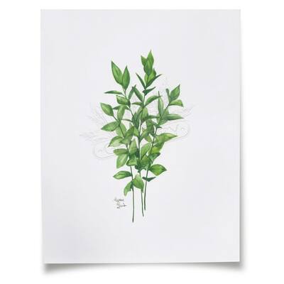 "Nature's Lace 1" - Israeli Ruscus - Individual Paper Print - Unframed - 8" x 10" - Multi