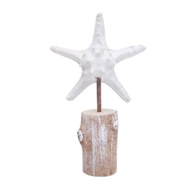 Starfish On Stand