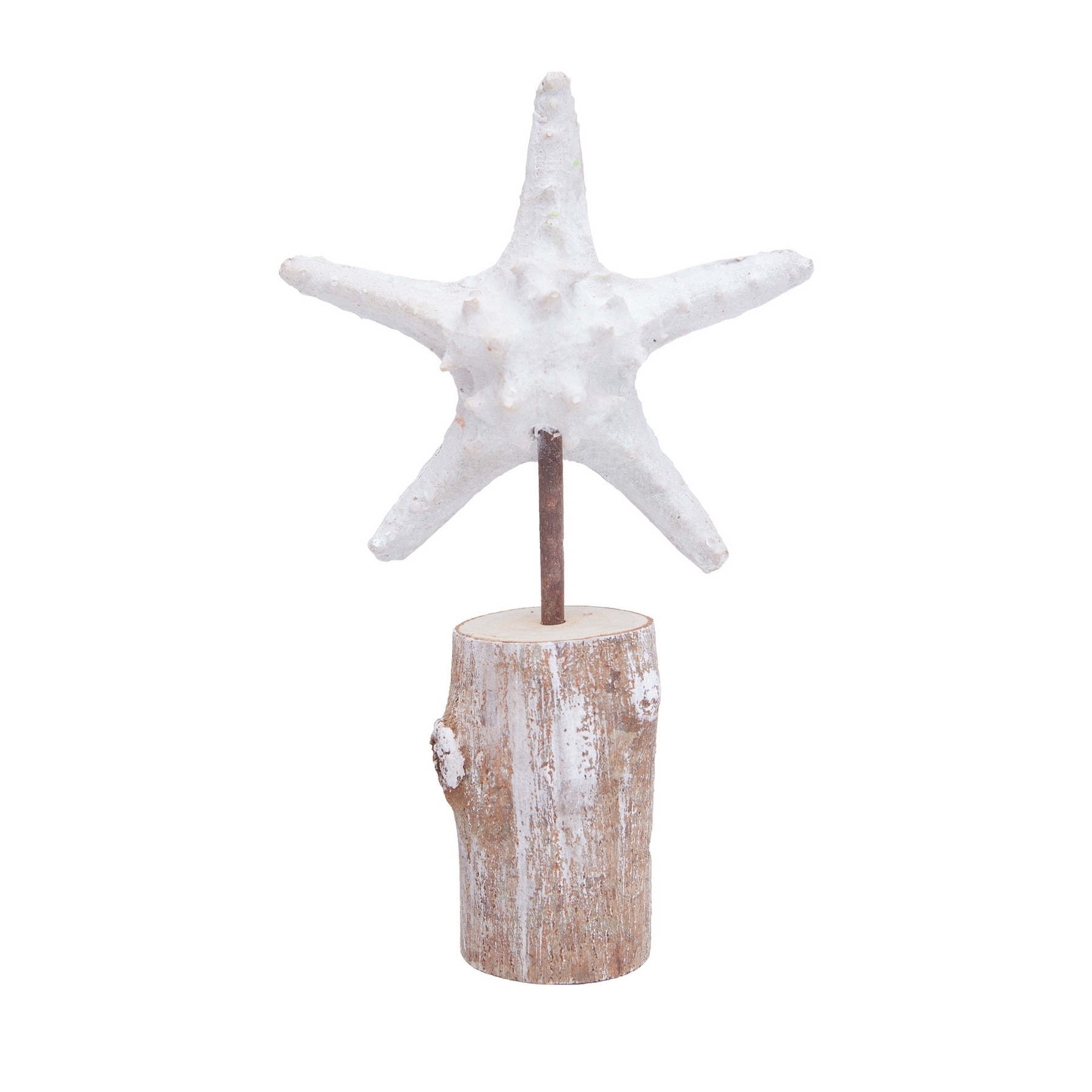 Starfish On Stand