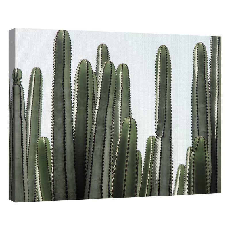 Desert Detail by Belle Maison Canvas Art Print