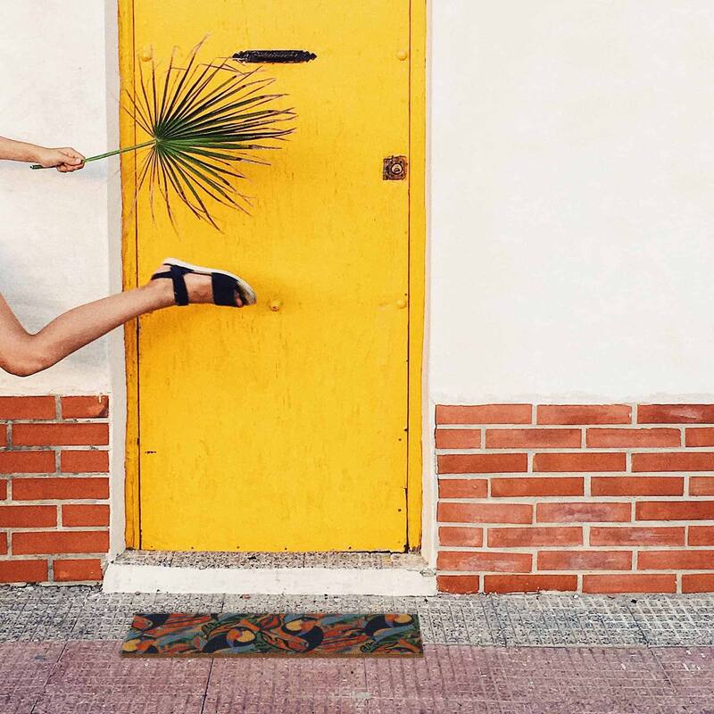 Toucans 30x10 Long Sheltered Front Door Mat Coco Multicolor