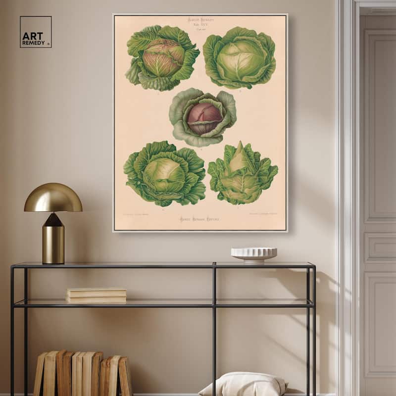 Cabbages by Benary 1876 Canvas by Art Remedy
