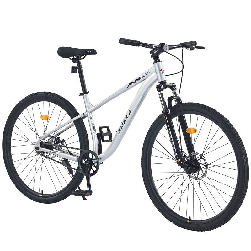 Unisex Mountain Bike - Front Suspension, Steel Frame, Single Speed - 29