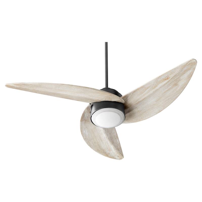 Quorum International Trinity 52" 3 Blade LED Ceiling Fan
