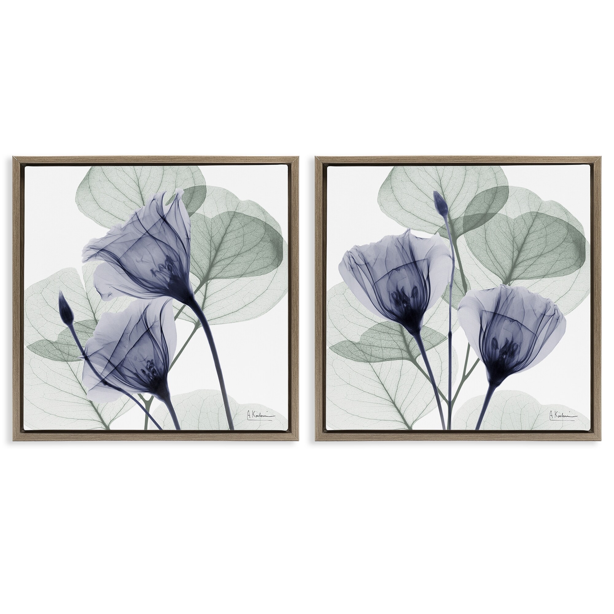 Stupell Fading Florals & Herbs Framed Floater Canvas Wall Art Design By Albert Koetsier (Set of 2)