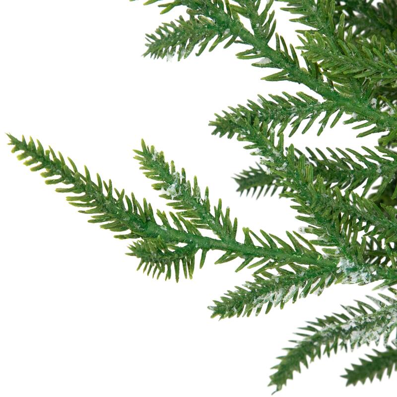 Frosted Norfolk Pine Artificial Christmas Wreath - 20" - Unlit