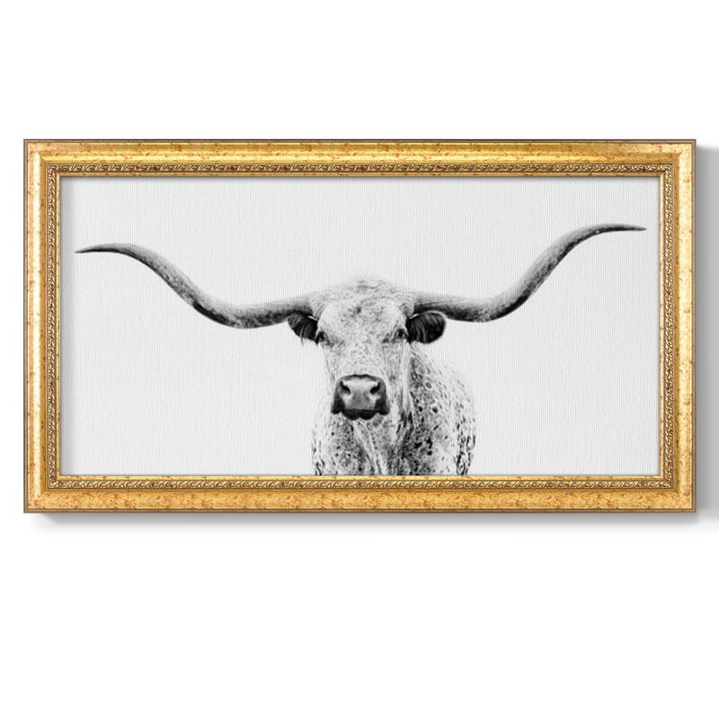 Longhorn Gaze Premium Framed Canvas- Ready to Hang