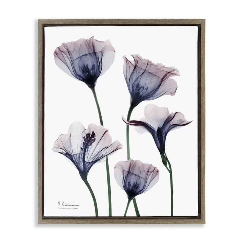 Stupell Subtle Fresh Flowers Framed Floater Canvas Wall Art Design By Albert Koetsier - 17 x 21 - Brown