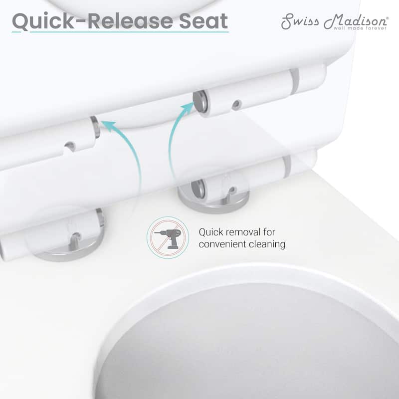 Brusque One-Piece Square Toilet Dual-Flush 1.1/1.6 gpf