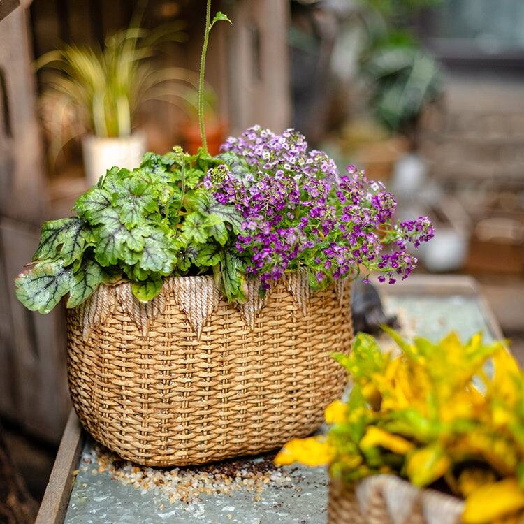 RusticReach Lady Straw Basket Cement Planter