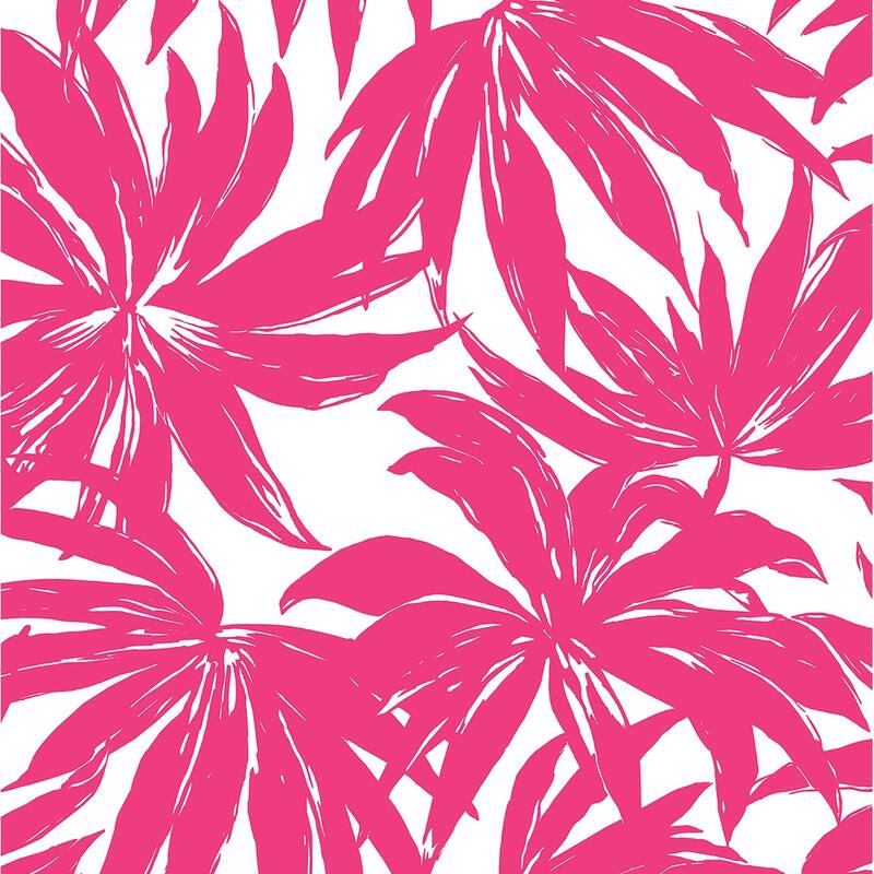Daisy Bennett Designs Palma Nonwoven Unpasted Wallpaper - 20.5 in. W x 33 ft. L - Hot Pink