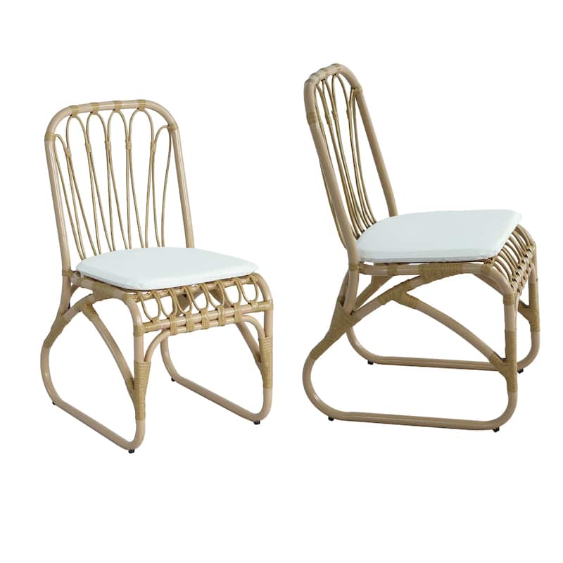 Christopher Knight Home- Alexandra Outdoor PE Wicker Dining Chairs with Cushions (Set of 2)
