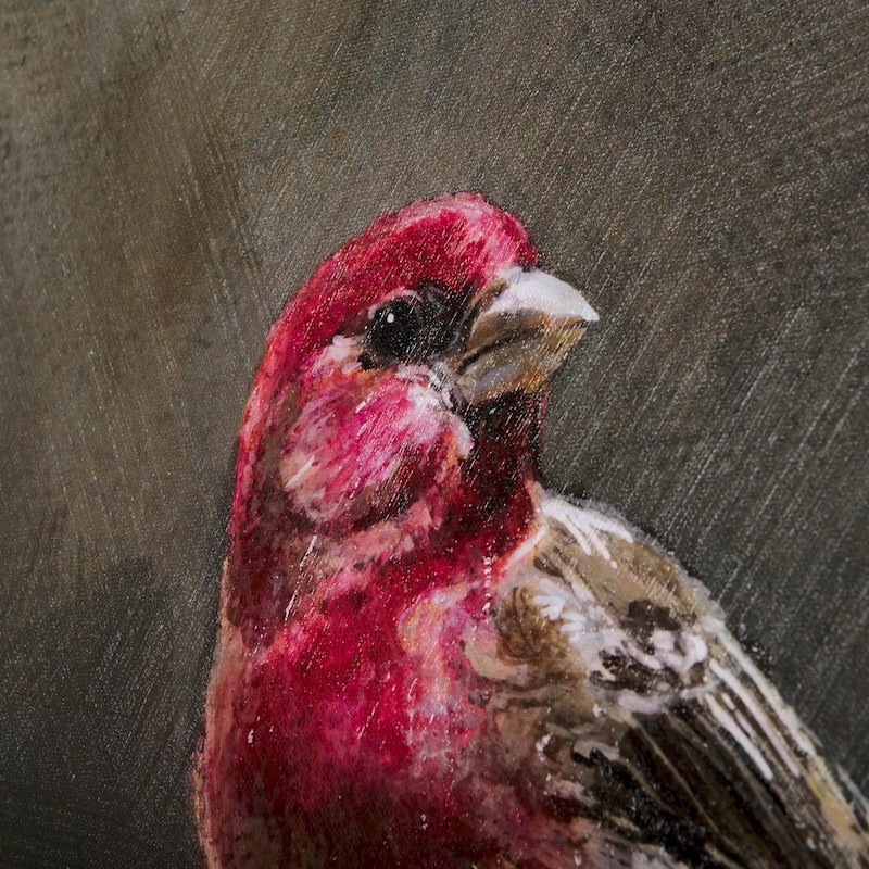 Graceful Poise I (House Finch)(30 x 40) Canvas Art Print