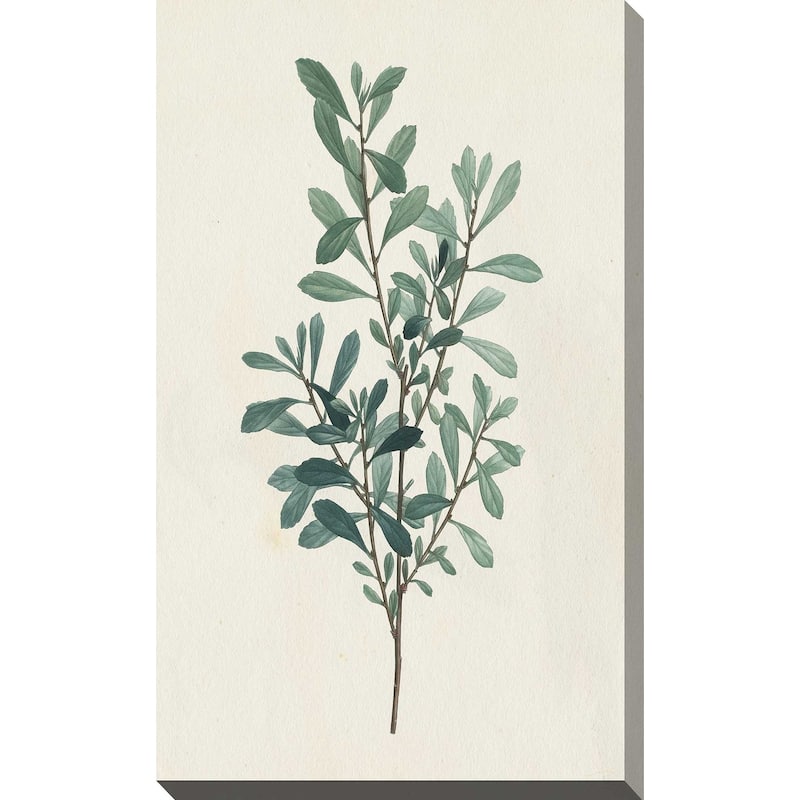 "Victorian Garden Greenery I (Vertical)" Print on Canvas