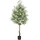 preview thumbnail 1 of 11, Faux Tree Indoor Artificial Olive Tree with Leaves and Fruits Green - 5.9"L x 5.9"W x 70.9"H 