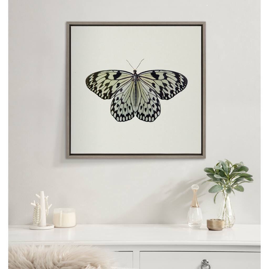 Kate and Laurel Sylvie Butterfly Framed Canvas by Robert Cadloff