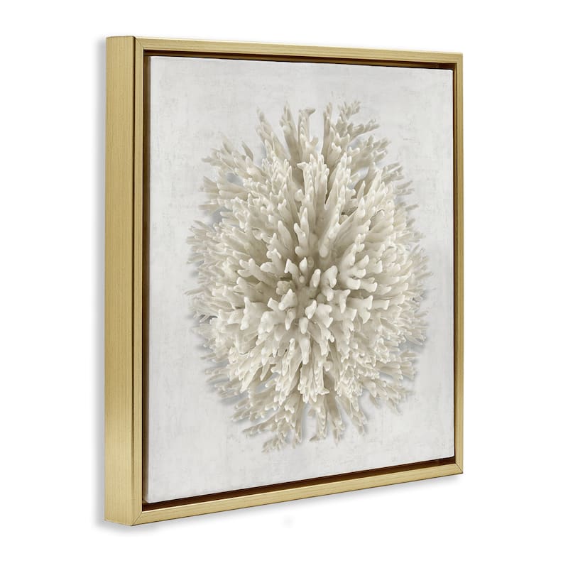 Stupell Natural Round Coral Framed Floater Canvas Wall Art Design By Caroline Kelly