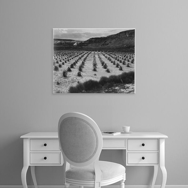 Easy Art Prints Ansel Adams's 'Corn Field, Indian Farm in Arizona' Premium Canvas Art