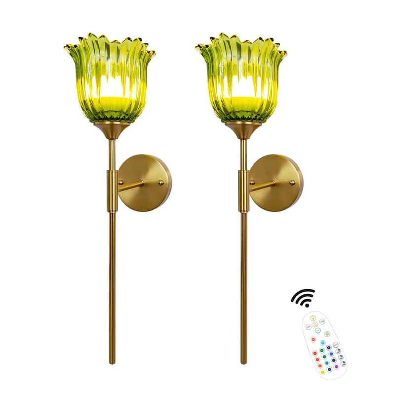 Battery Operated Wallchiere with Remote, Rechargeable Wireless Gold Wall Sconces , RGB Dimmable Light (Set of 2)