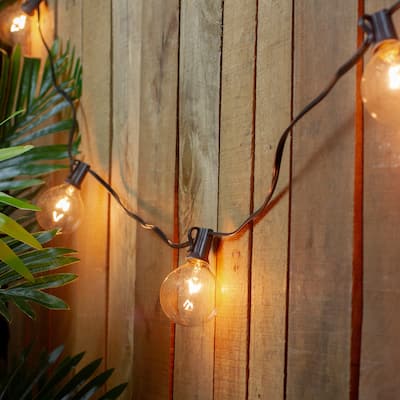 G50 Globe Christmas String Lights - Clear - 19' Black Wire - 20ct