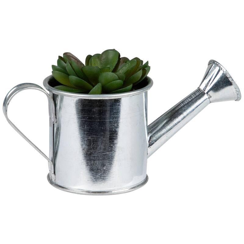 6" Potted Artificial Mini Echeveria Succulent with Watering Can