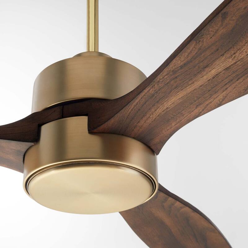 Quorum International 21653 Reni 65" 3 Blade Indoor Ceiling Fan with