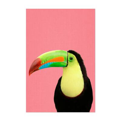 Toucan Bird in Pink Photography Animals Birds Parrot Art Print/Poster ...