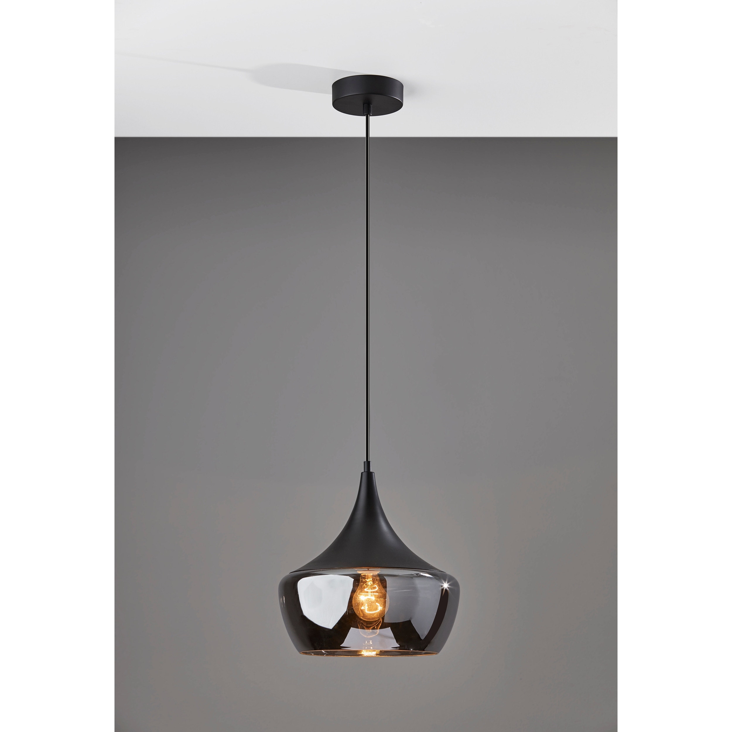 Adesso pendant lighting store