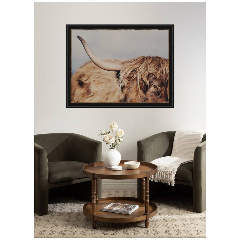 Kate and Laurel Highland Cow No. 4 Close by Laura Evans Framed Wall Art Print