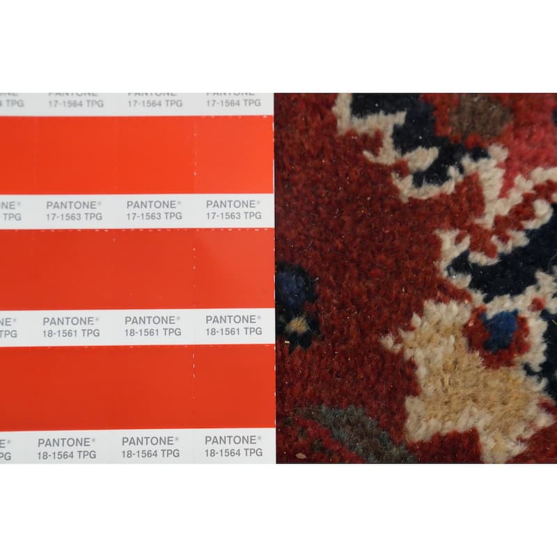 Hand Knotted Oriental 100% Wool Carpet Traditional Floral Oranges & Rust Sultanabad Area Rug - 16' 2'' X 12' 6''