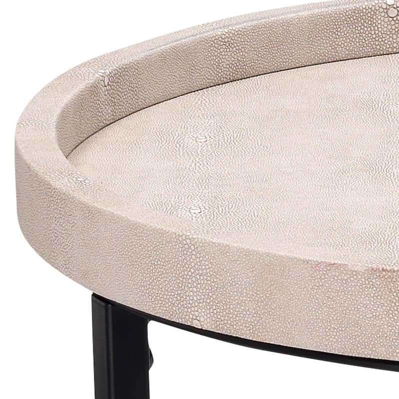 Alden Décor Holden Faux Shagreen Nesting Tables (Set of 3)