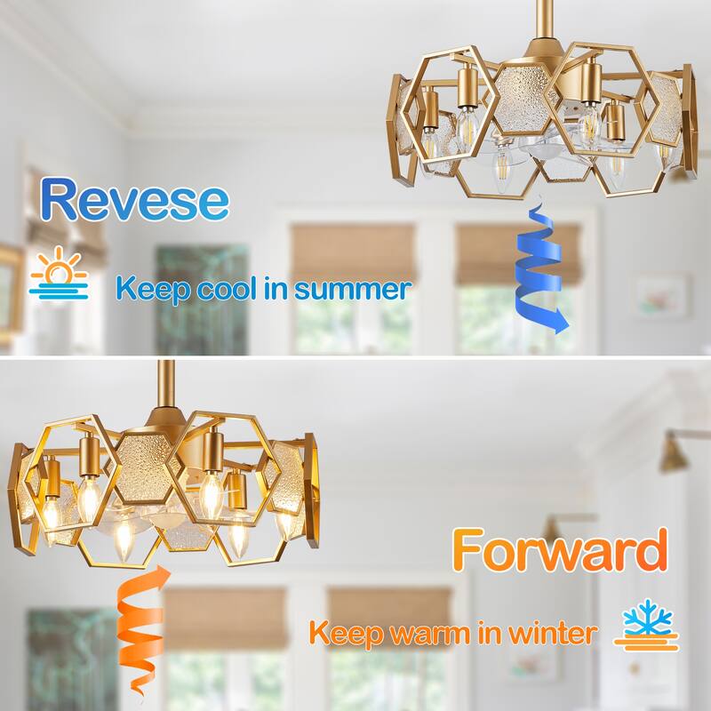 CurveCurio 20" Chandelier Ceiling Fan w Textured Glass Accent, 6 Lights Quiet DC Motor 6 Speed w Remote Control