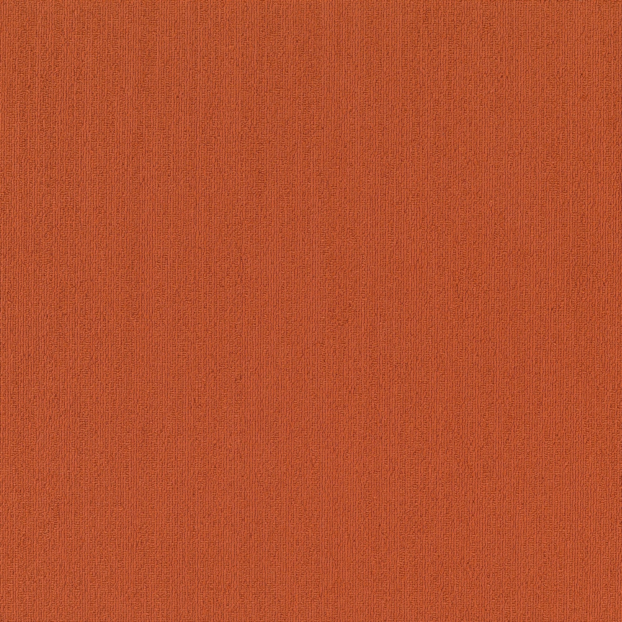 Shaw Philadelphia Commercial Color Accents TL 24" x 24" Glue Down