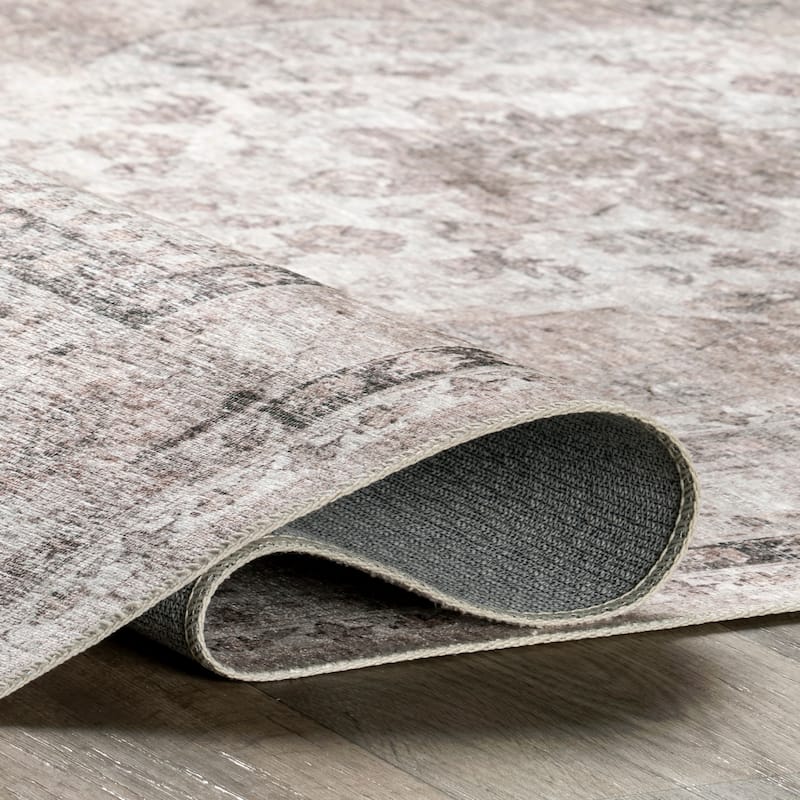 Nuloom Delisa Vintage Stain-Resistant Machine Washable Area Rug