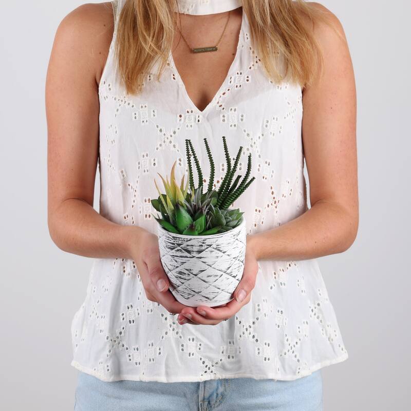 Succulent Garden in Concrete Planter - Mini - Mica - 1 Pack