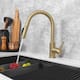 Option Brushed Gold