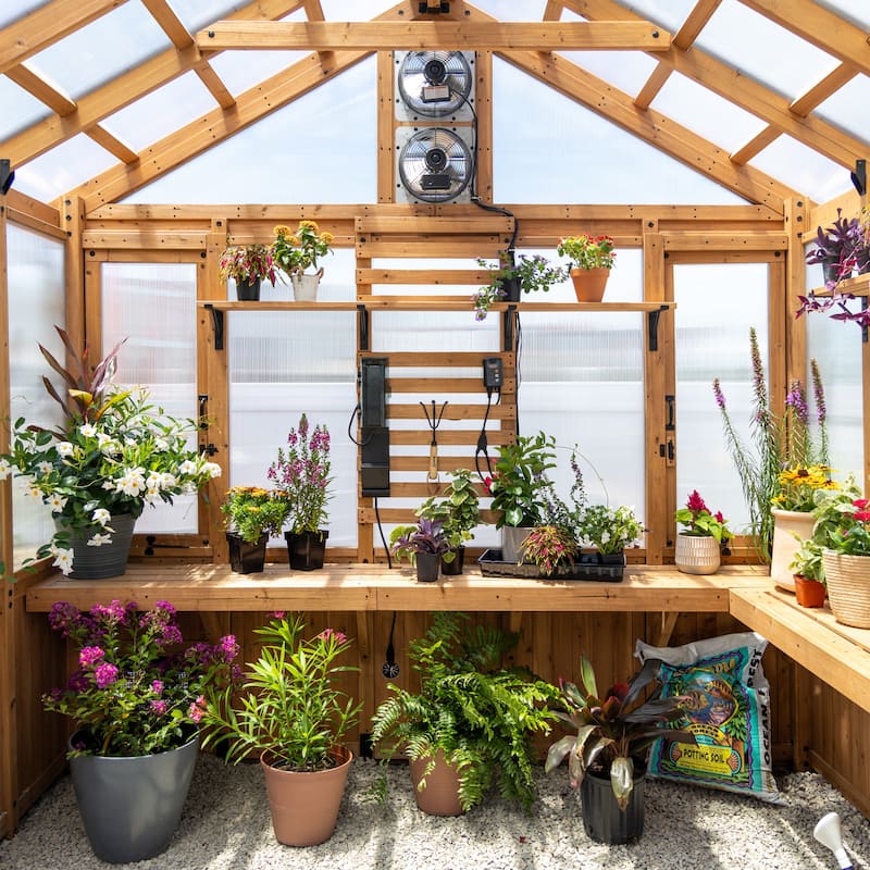 Backyard Discovery Savannah Chalet-Style 14.5' x 12' Cedar Greenhouse