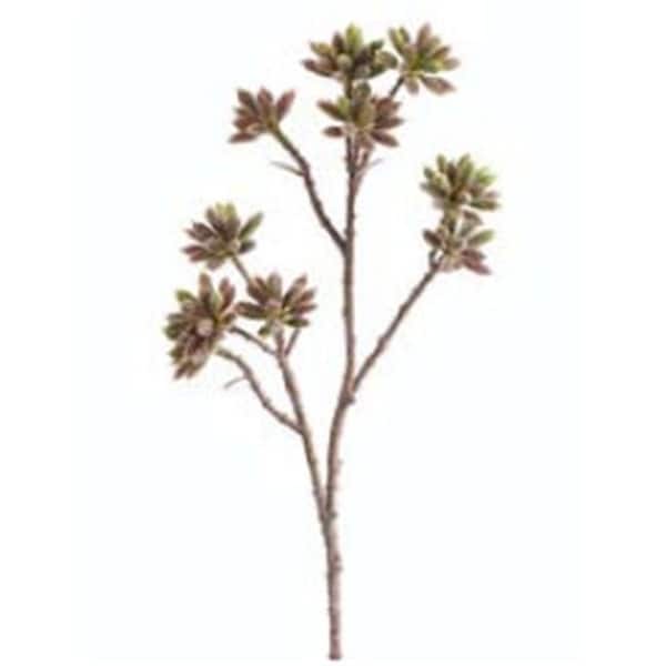 CS0512-MV-GR 11 in. Sedum Spray Mauve Green- Case of 12