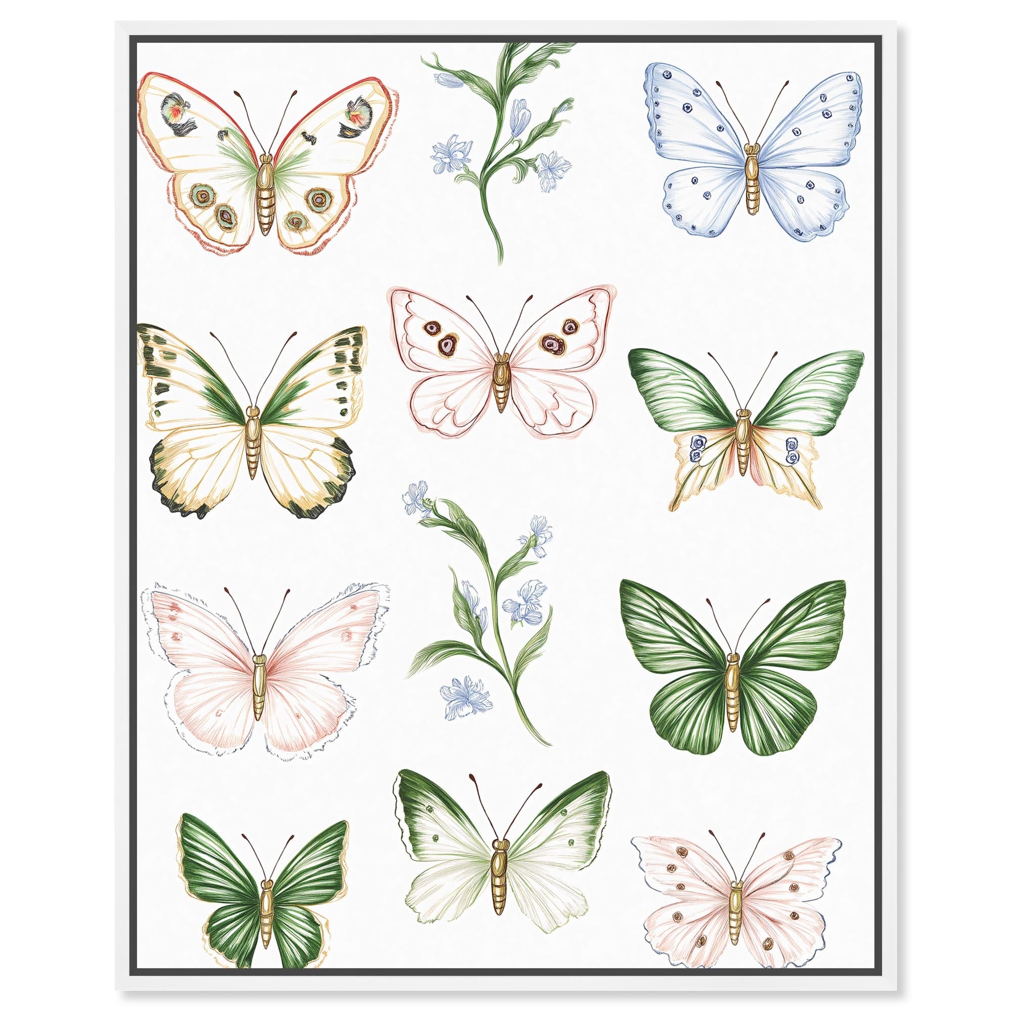 Butterfly Collection Floral Art Framed Canvas Print by Art Remedy