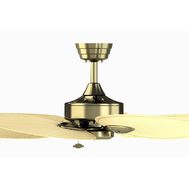 Fanimation Windpointe 52 inch Indoor Ceiling Fan