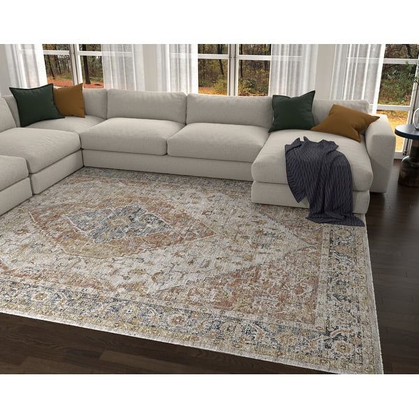 slide 2 of 17, Domani Opulence Distressed Persian Area Rug