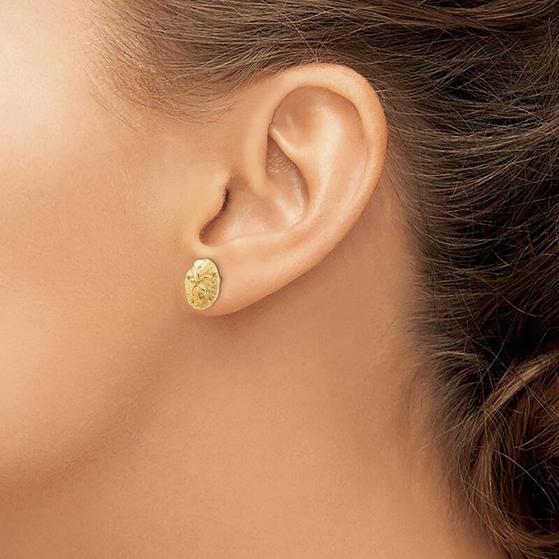 Curata 14k Yellow Gold 12mm Textured Polished Sand Dollar Post Earrings