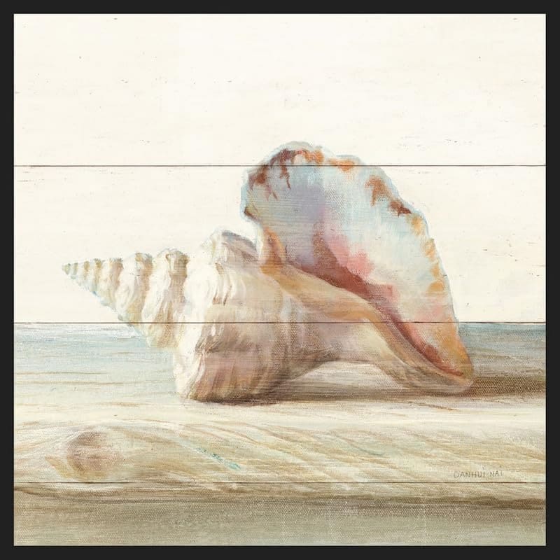 Driftwood Shell IV Framed Poster
