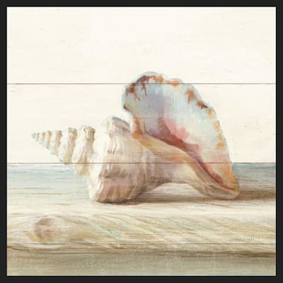 Driftwood Shell IV Framed Poster