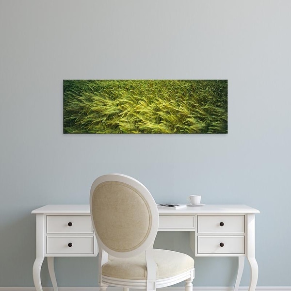 Easy Art Prints Panoramic Images's 'Close