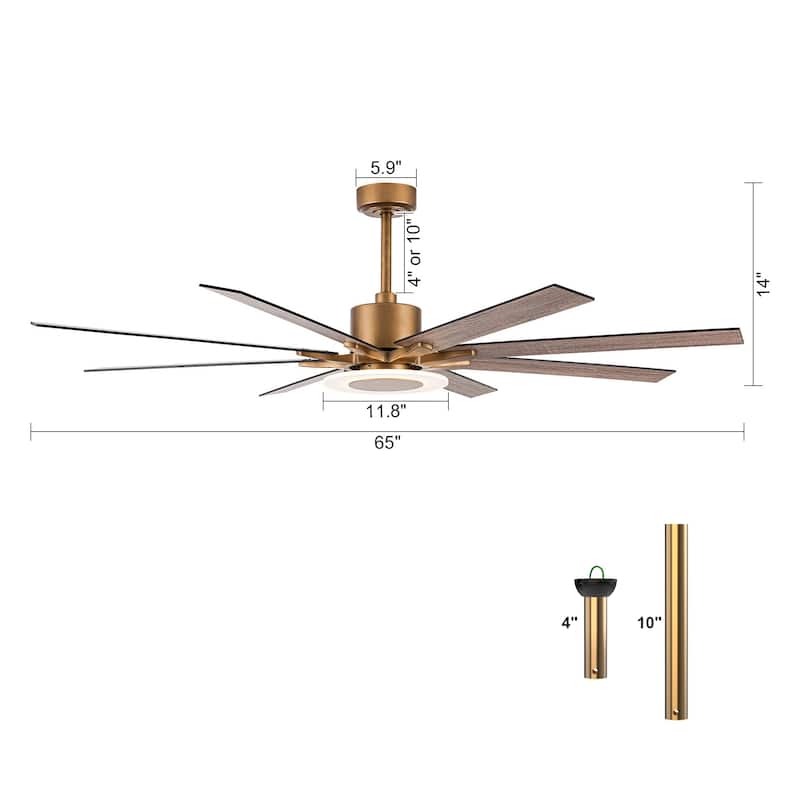 65" Aged Brass 8-Blade Windmill Ceiling Fan with Light and Remote